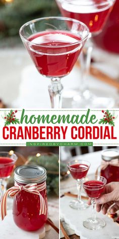 Add a homemade touch to your holiday festivities with this Cranberry Cordial recipe! Made with fresh cranberries, orange, and a hint of cinnamon, it’s a perfect balanced blend of seasonal flavors. This cordial makes a delightful sip, a stunning cocktail base, or a thoughtful gift for friends and family. It’s easy to prepare and guaranteed to impress. Apple Schnapps, Cranberry Drinks, Cordial Recipe, Washington Apple, Colorado Food, Homemade Alcohol, Whisky Sour, Homemade Liquor, Liquor Recipes