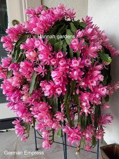 a bunch of pink flowers sitting on top of a metal stand