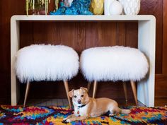 a brown dog laying on top of a colorful rug next to two white stools