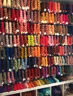 there are many skeins of yarn on display in the store, all different colors