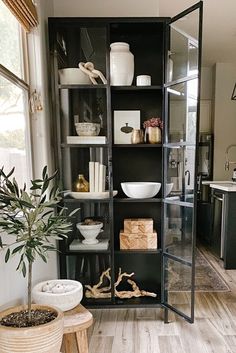 a black bookcase with glass doors in a living room next to a potted plant