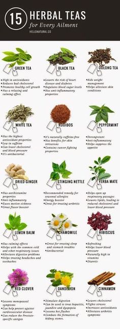 Herbs And Their Uses, Tea Remedies, Types Of Herbs, Tea Health Benefits, Tea Benefits, Herbal Teas, Detox Smoothie, Detox Tea