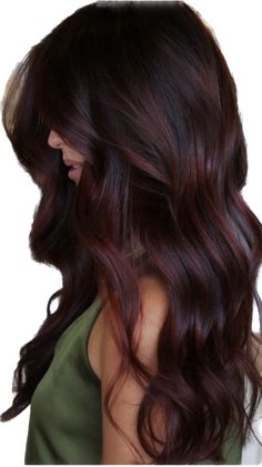 Dark Red Hair Color Ideas, Red Hair Color Ideas, Dark Red Hair Color, Hair Color Underneath, Autumn Look, Dark Hair With Highlights