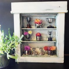 an old window is filled with vases and cups on shelves next to a potted plant