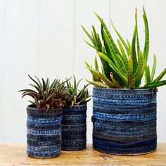 three pots with plants in them sitting on a table