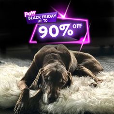 a brown dog laying on top of a white rug next to a purple sign that says black friday up to 90 % off