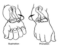 two hands are shown with different positions to hold the wrist