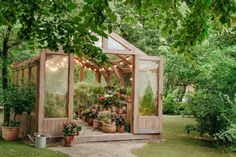 a small wooden greenhouse with potted plants and lights hanging from it's roof