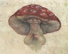 a drawing of a mushroom with its head turned to look like it is holding something