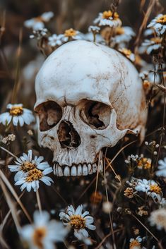 a human skull sitting in the middle of flowers