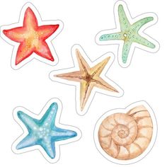 four starfishs and two seashells stickers are shown in different colors