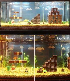 a fish tank filled with lots of different types of water