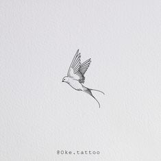 a drawing of a bird flying in the sky