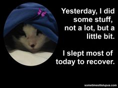 Oh, bullseye! It's so confusing...right when I think, 'hey, this new med or new dosage is working! I was able to wash dishes & clean a little--for 2 whole days in a row!' , then BAM! I'm down and can't get off the damned couch for another couple of weeks.Seriously, how can you tell when something is actually working? WTF??! Ehlers Danlos Syndrome, Adrenal Fatigue