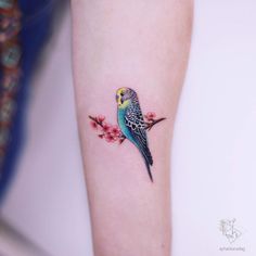 a colorful bird sitting on top of a branch next to a cherry blossom flower tattoo