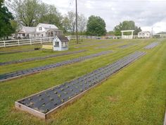 several rows of beds in the middle of a field