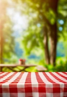 an empty red and white checkered tablecloth on a picnic table with trees in the background