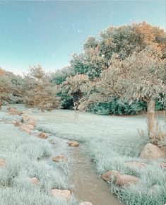 a river running through a lush green forest filled with rocks and grass under a blue sky