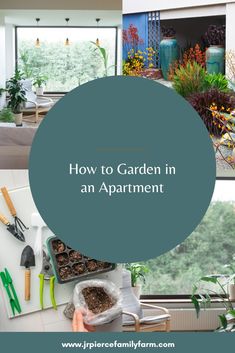 the words how to garden in an apartment surrounded by pictures of plants and gardening tools