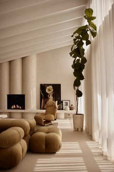 a living room filled with lots of furniture and a tall potted plant in the corner