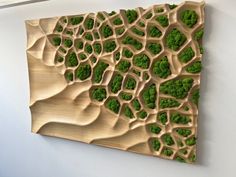 a piece of wood that has broccoli in the shape of a map on it