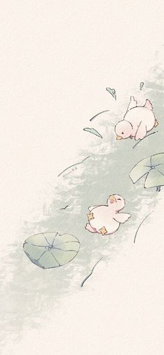 two pigs are swimming in the water with umbrellas over their heads, and one pig is laying on its back