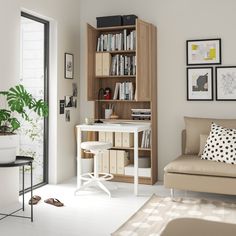 a living room filled with furniture and bookshelves