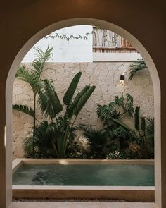 an indoor swimming pool surrounded by greenery