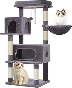 two cats are sitting on top of the cat tree and one is looking at the camera