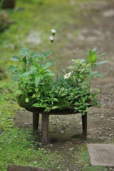 there is a small planter with flowers in it