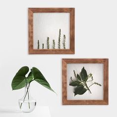 two wooden frames with plants in them on a white wall next to a vase filled with water