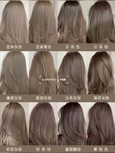 6 Ash Hair Color, Brown Ash Grey Hair, Shades Of Ash Brown Hair Color, Different Kinds Of Brown Hair, Hair Color Grey Brown, Ash Taupe Gray Hair Color, Chocolate Greige Hair Color, Milk Ash Brown Hair, Cool Shades Of Brown Hair