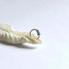 a sea shell with a ring on it