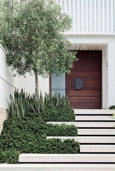 the steps lead up to an entrance with trees and plants on each side in front of it