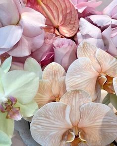 pink and white flowers are in a vase