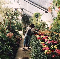 a woman walking down a path in a greenhouse filled with flowers