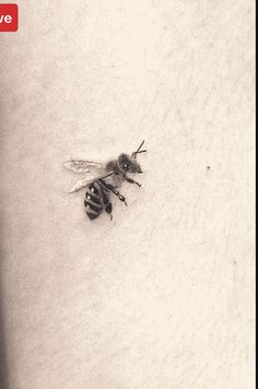 a black and white photo of two bees on the side of a person's arm