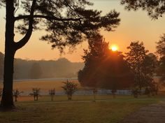 the sun is setting behind some trees in a field with a white fence and green grass