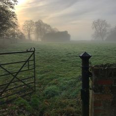 a foggy field with a gate in the foreground