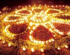 many lit candles are arranged in the shape of a flower and circle on top of grass