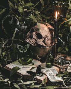 there is a skull and other items on the table next to each other with a candle