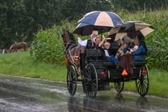 people riding in a horse drawn carriage down the road with umbrellas over their heads