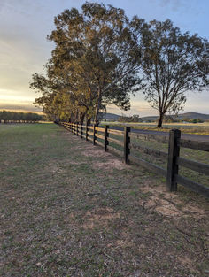 a wooden fence in the middle of a grassy field with trees on either side and sunset behind it