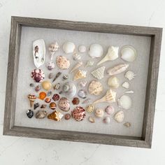 a shadow frame with sea shells and seashells in it on a white wall