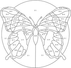 a butterfly with numbers on it's wings in the shape of a circle, as well as two hands