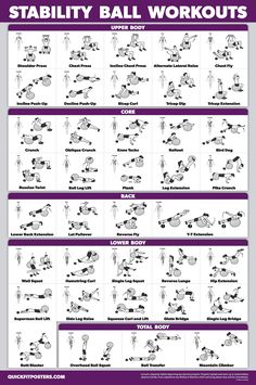 an exercise poster showing the different exercises to do for your body and shoulders, including