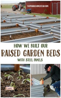 how we built our raised garden beds with steel panels