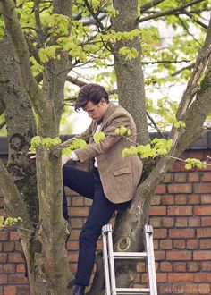 a man sitting on top of a ladder next to a tree