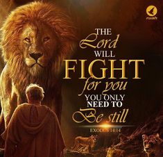 Peace Be Still, Lion Of Judah Jesus, Jesus Christ Quotes, God's Promise, Tribe Of Judah, Bible Promises, Scripture Pictures, Jesus Christ Images