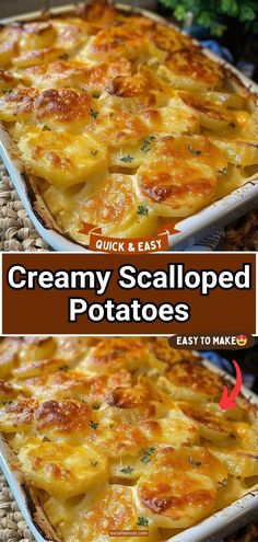 an image of creamy scalloped potatoes in a casserole dish with text overlay